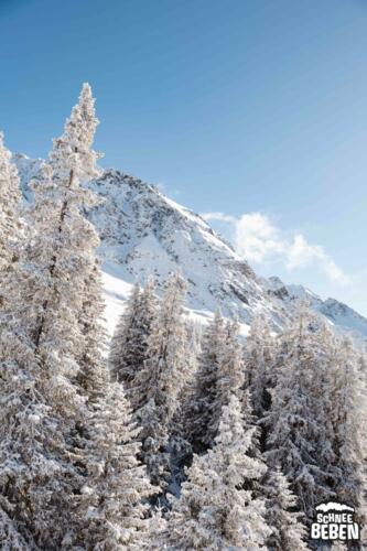 Lenzerheide SB  093